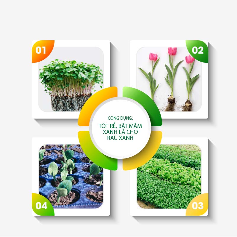 Phân Bón Hữu Cơ Cho Rau Ecom Nutri Crop 100ml Kích Bật Mầm Xanh Nuôi Dưỡng Rau Sạch, Cây Trong Nhà An Toàn