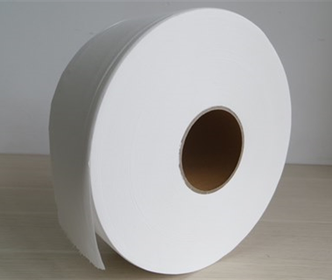 Lốc 10 cuộn giấy vệ sinh công nghiệp 700 gram 2 lớp