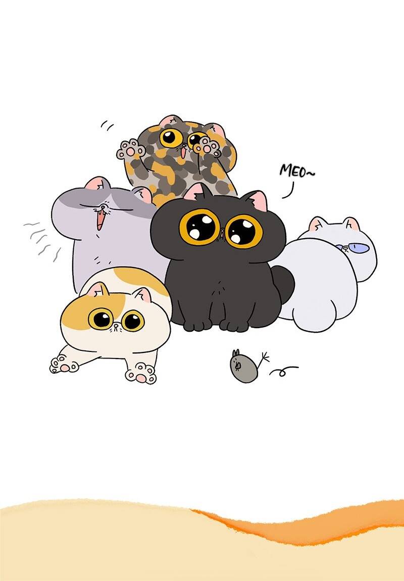 a mãn và mạch trà chapter 15 7