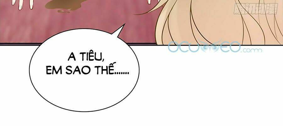 bộ váy rực rỡ ánh sao chapter 17 35