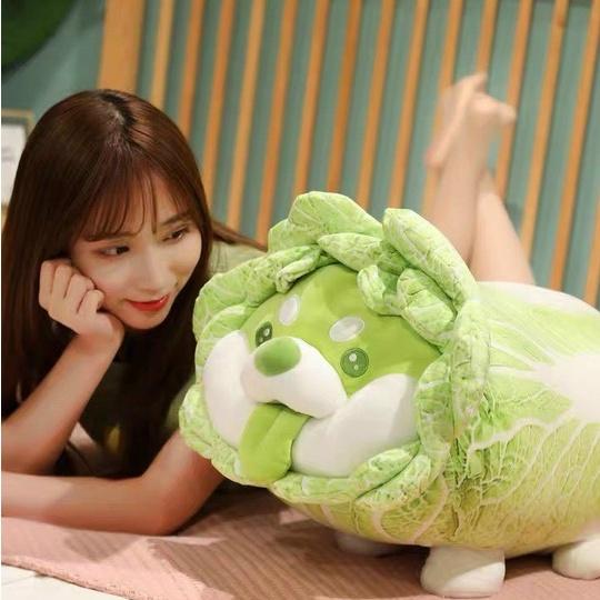 Gấu bông chó Shiba Cải Thảo Vegetable Fairy  dễ thương kích thước (30-50-60cm) - Gối chó bắp cải 55 cm