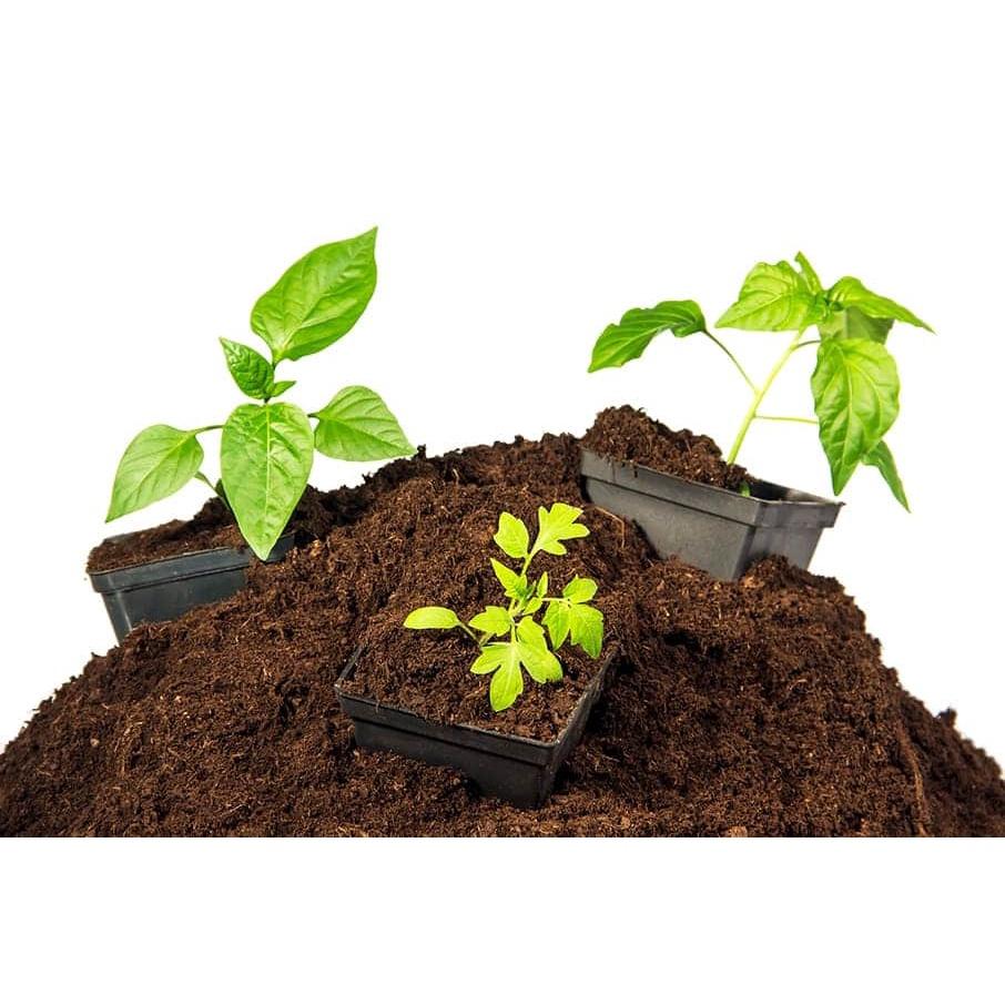 Giá thể trồng cây từ than mùn cao cấp Peat Moss 1kg thích hợp trồng cây sen đá, xương rồng,...