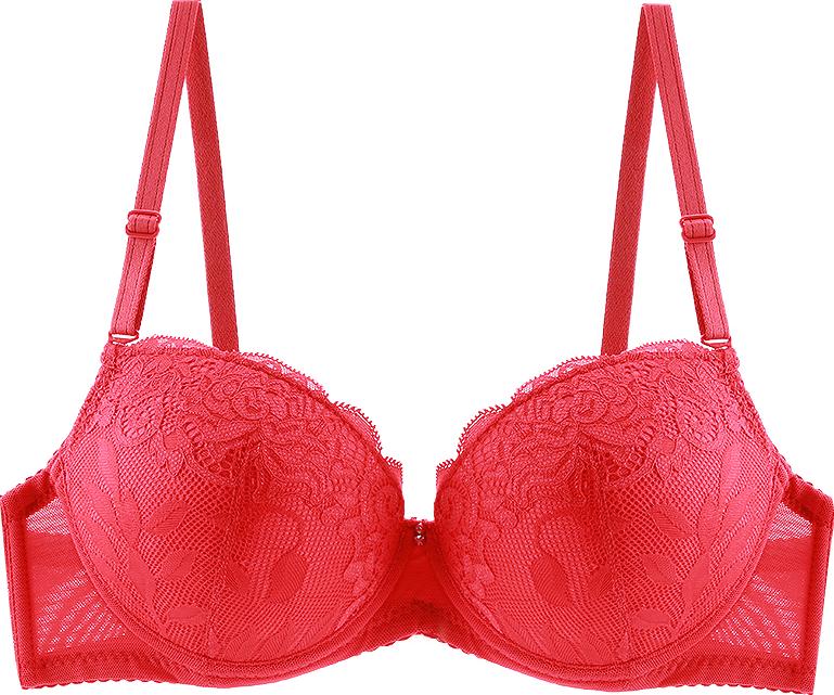 Áo Ngực Ren 12H C035 Mút Dày