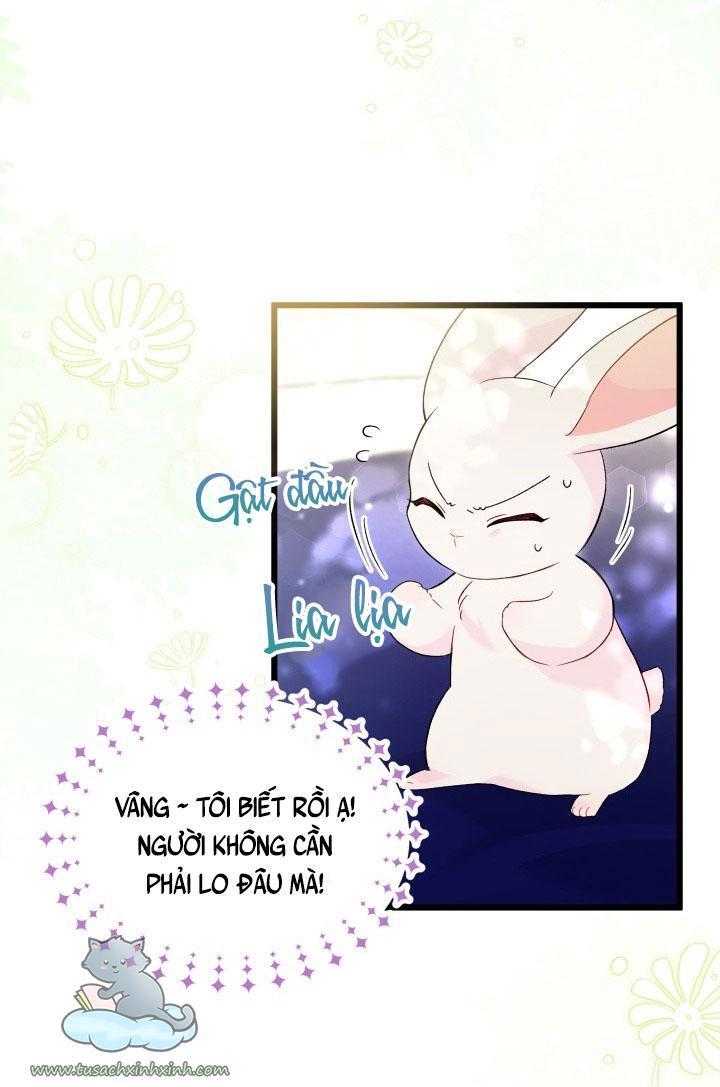quan hệ cộng sinh giữa báo đen và thỏ trắng chapter 56 7