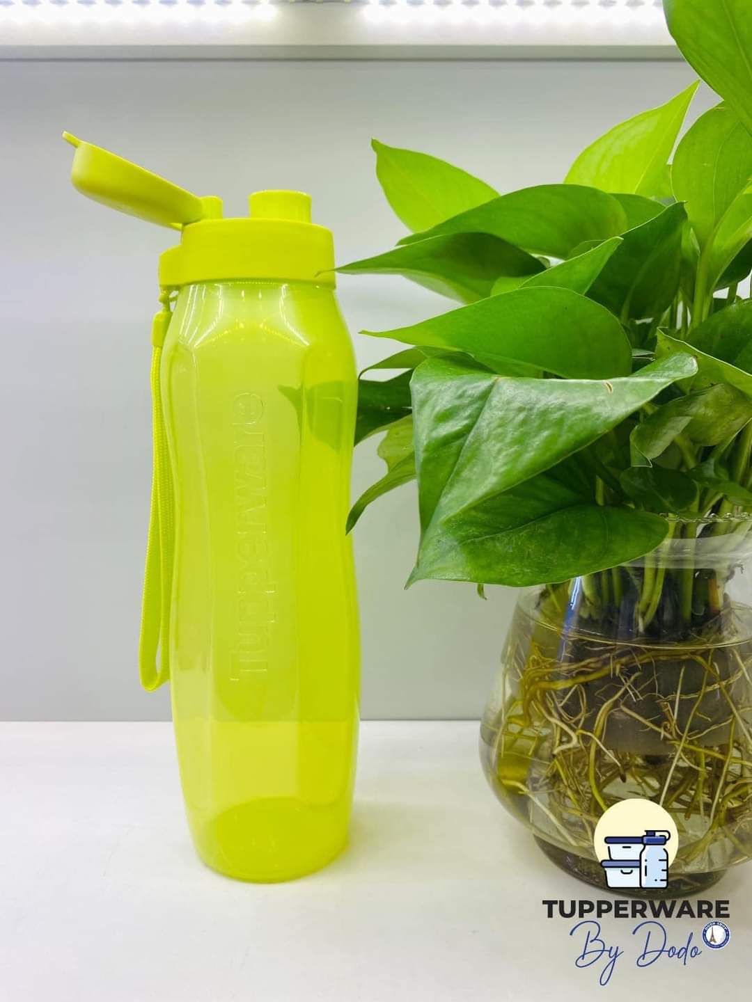 Bình nước Eco Bottle Gen II 1L Tupperware - Hàng chính hãng