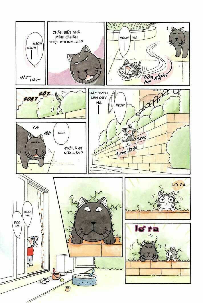 chi's sweet home chapter 92 7