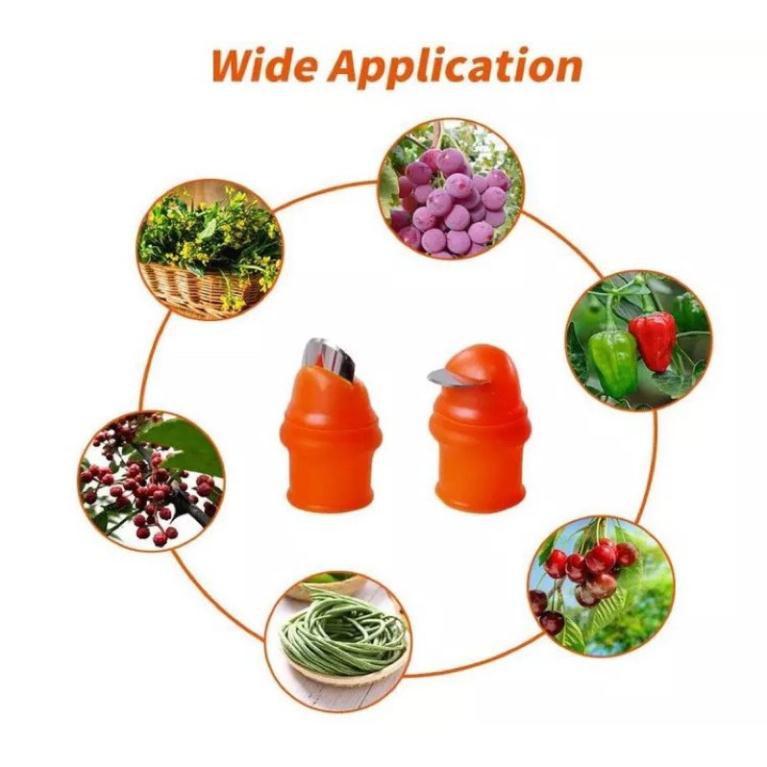 Combo 10 bộ găng tay nhặt rau củ