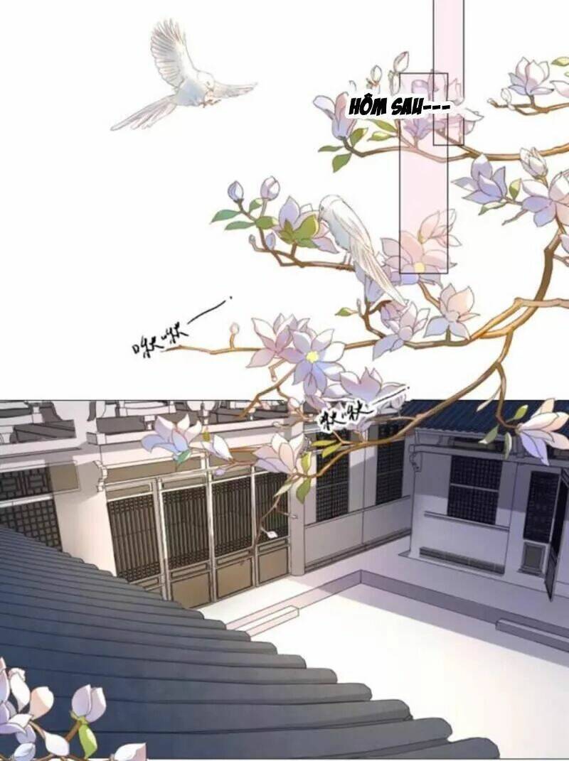 sủng phi của vương chapter 142 1