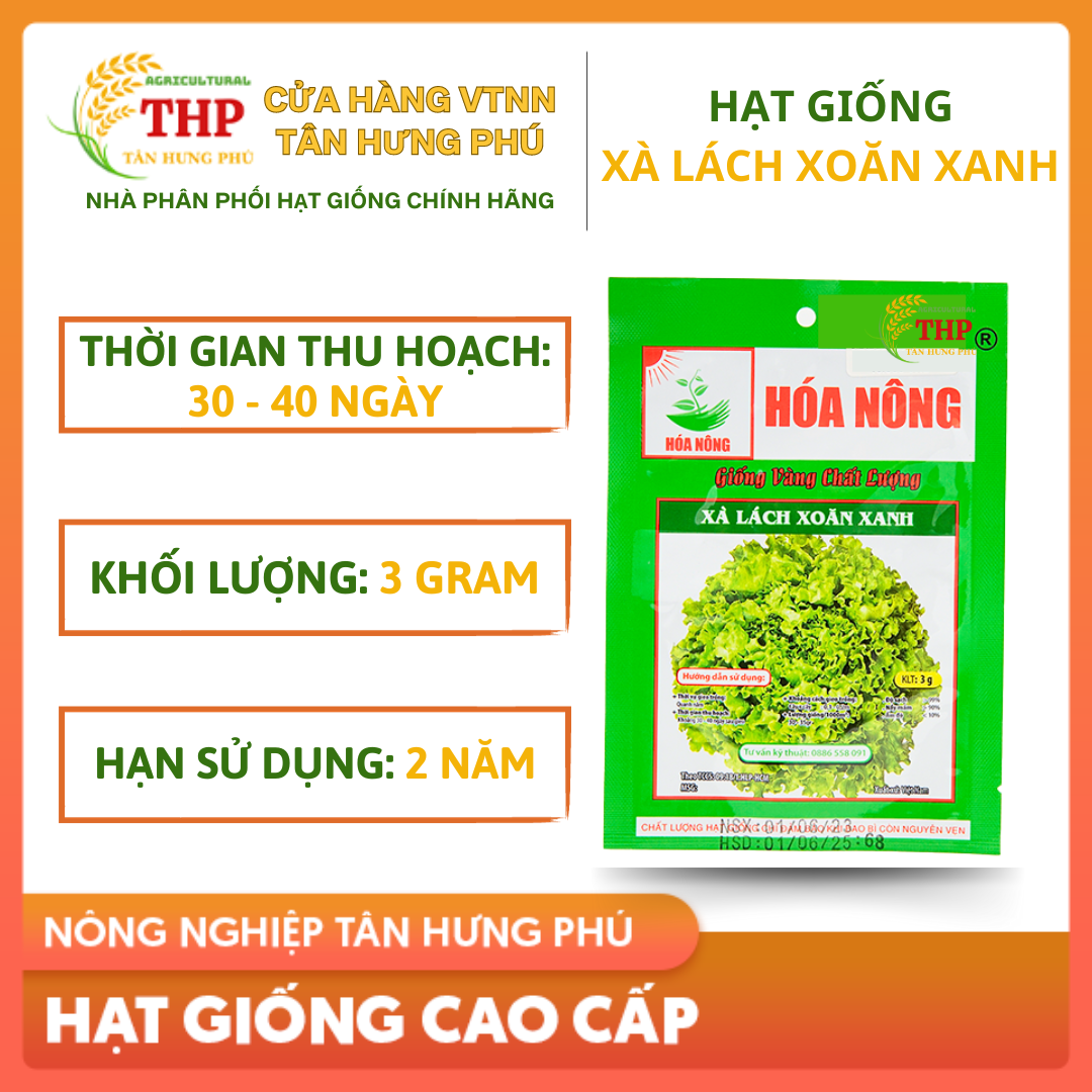 Hạt giống Xà Lách Xoăn Xanh | Hạt Giống | gói 3gr
