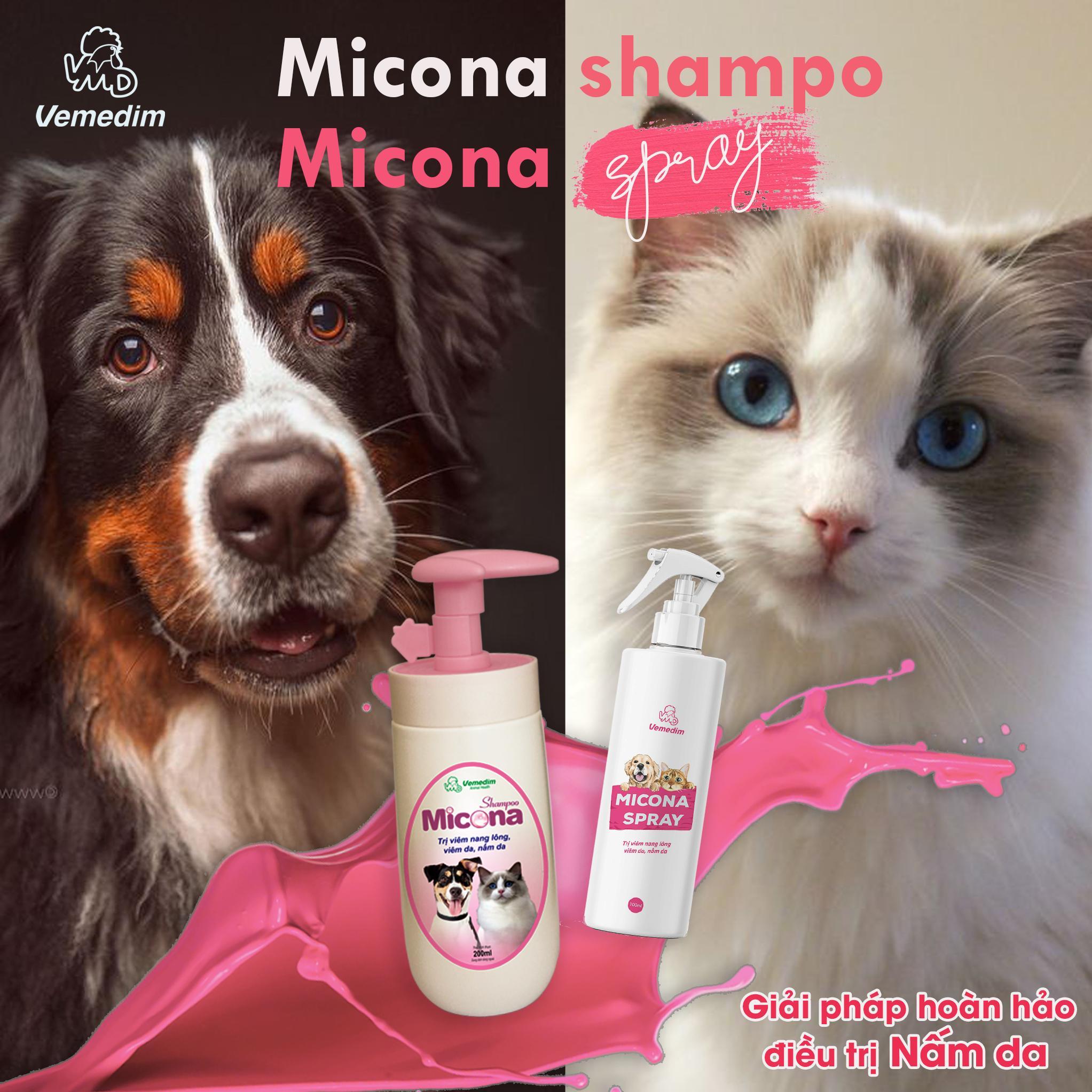 Vemedim Micona diệt nấm trên chó mèo