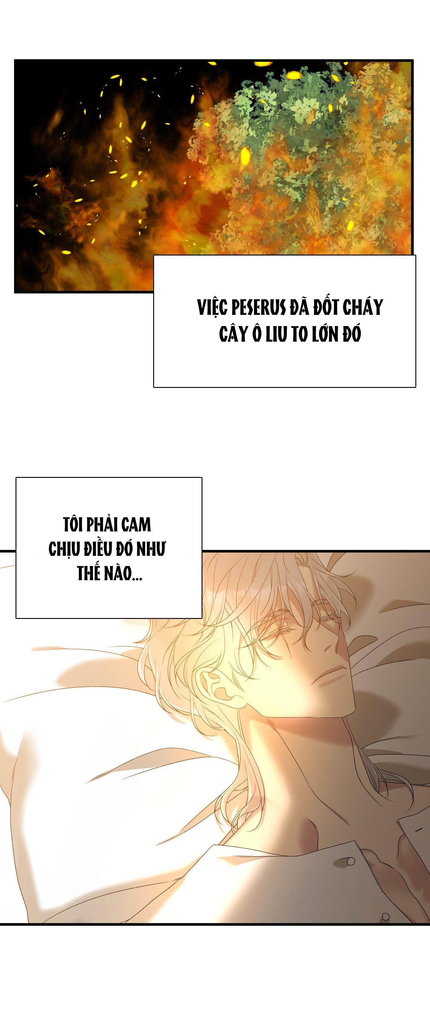 smyrna và capri chapter 26 28