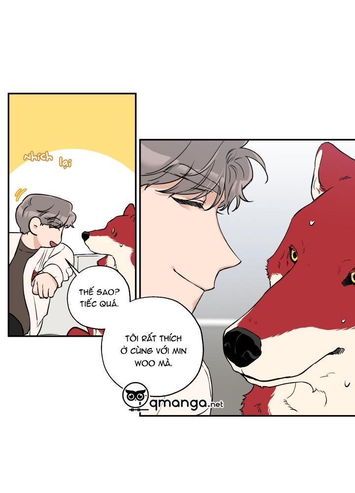 gâu gâu! chapter 21 19