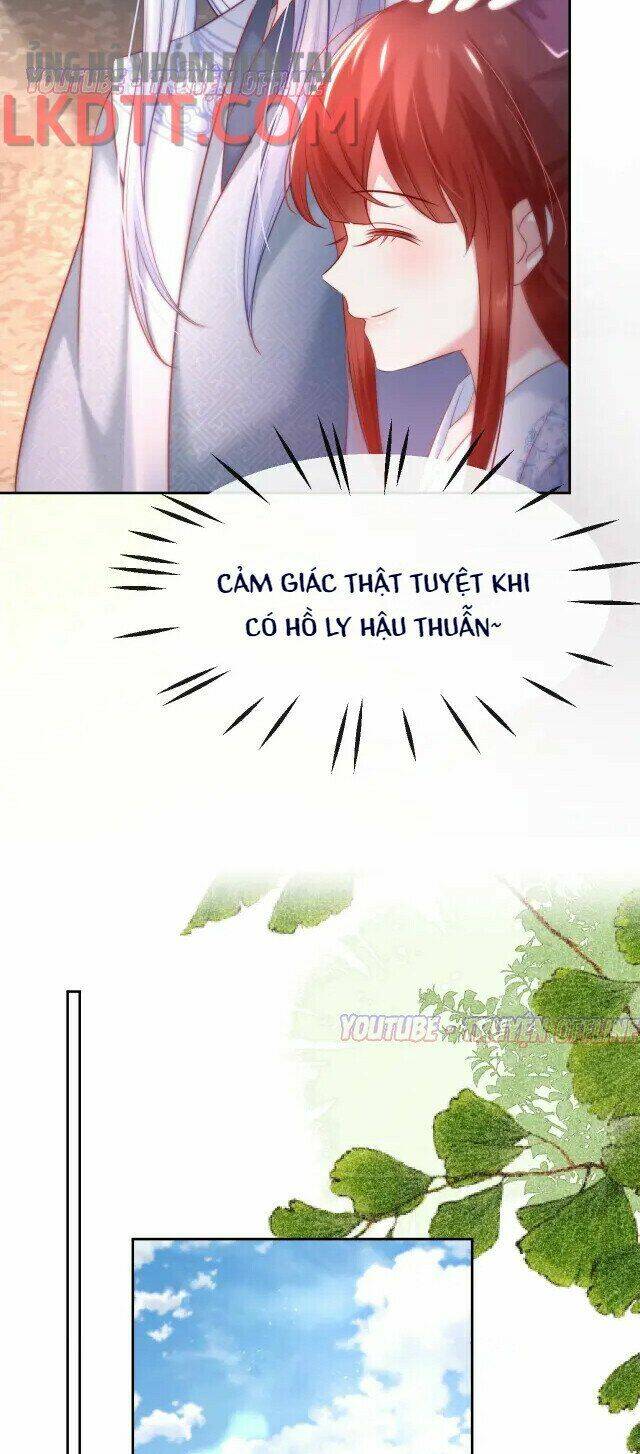 hắc hóa nam chính trực tuyến nuôi thỏ chapter 27 15