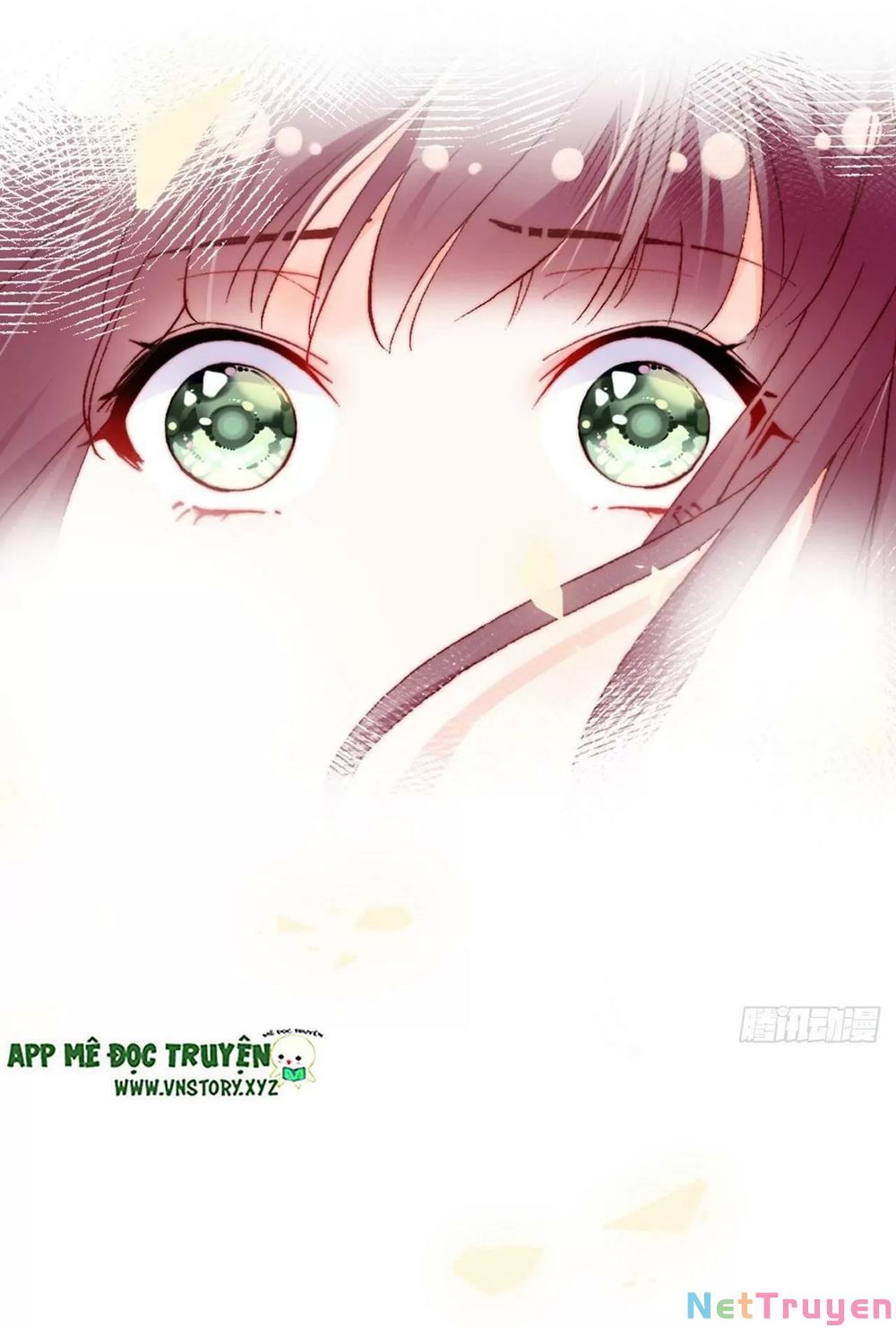 lại bị bệnh chiều chuộng quấn lấy chapter 55 7