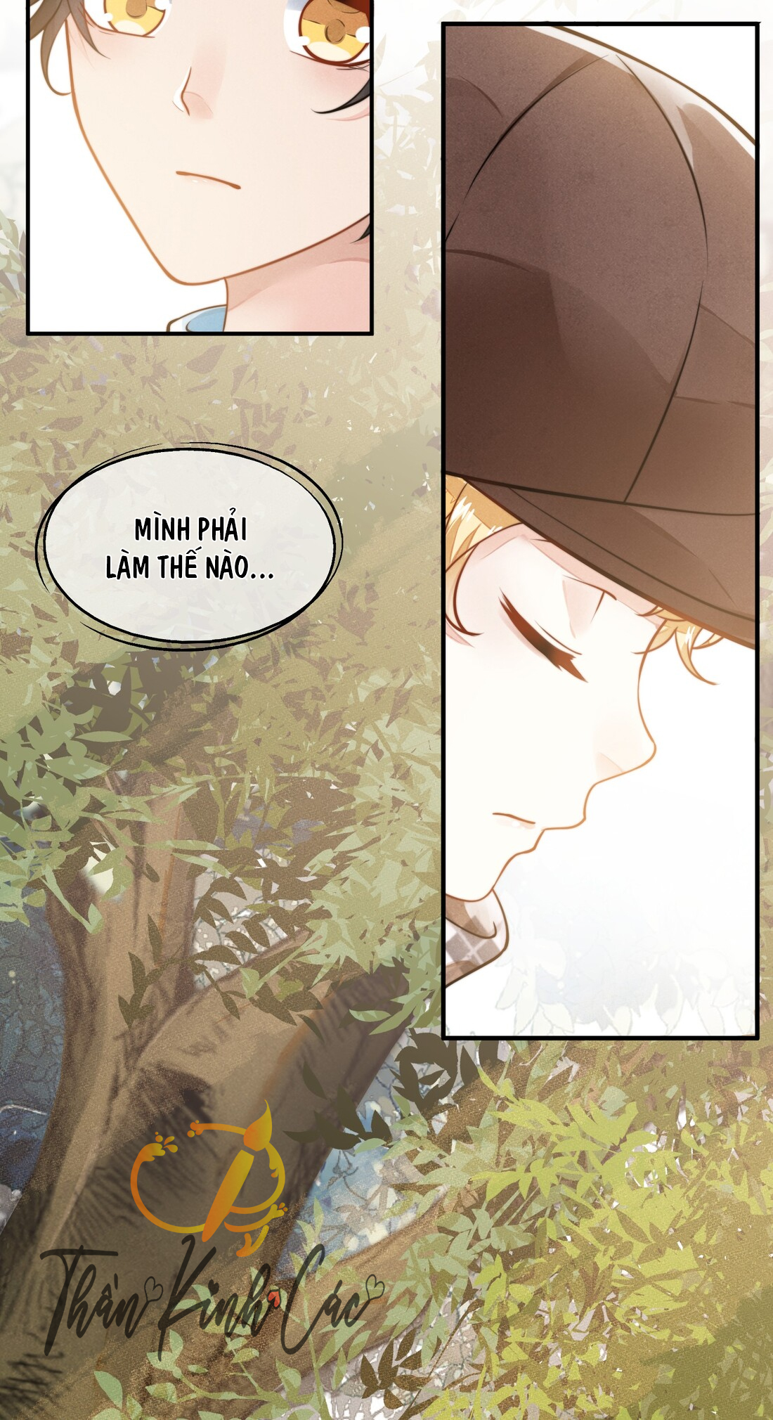 cạnh kiếm chi phong chapter 0 5