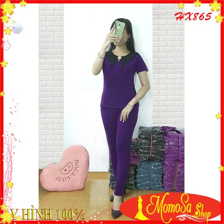 Đồ Bộ Nữ Mặc Nhà Thun Cát Hàn Có Size Lớn Hình Chụp Thật 100% Chính Chủ.