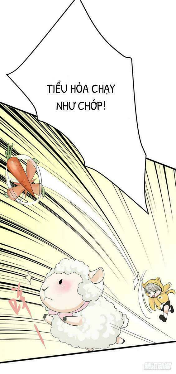 chào buổi sáng, ức vạn manh thê chapter 5 34