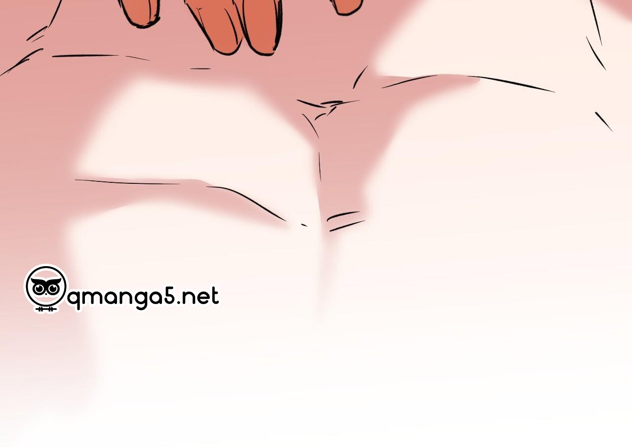 những chú thỏ của hapypy chapter 63 264