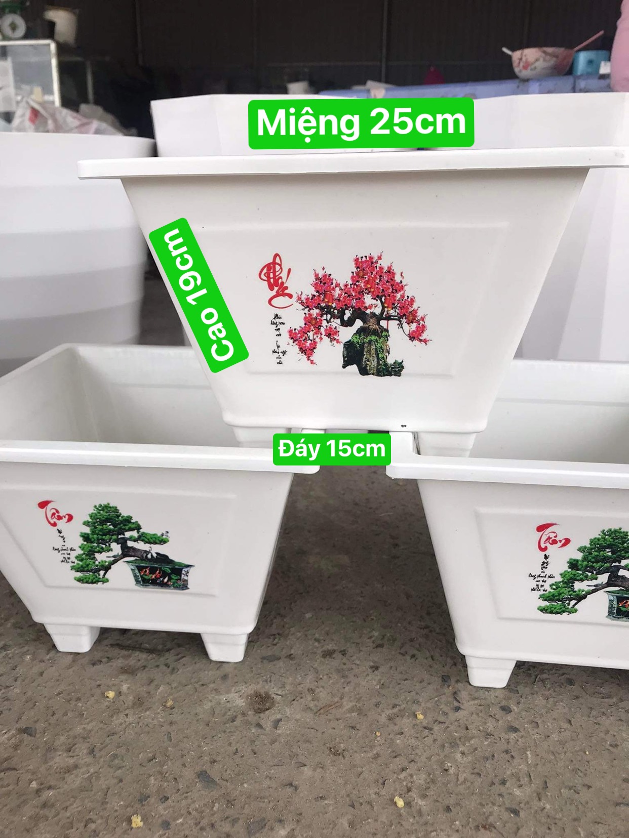 Chậu Nhựa Trồng Hoa Vuông In 250 - Cây Bon Sai - Cây Cảnh