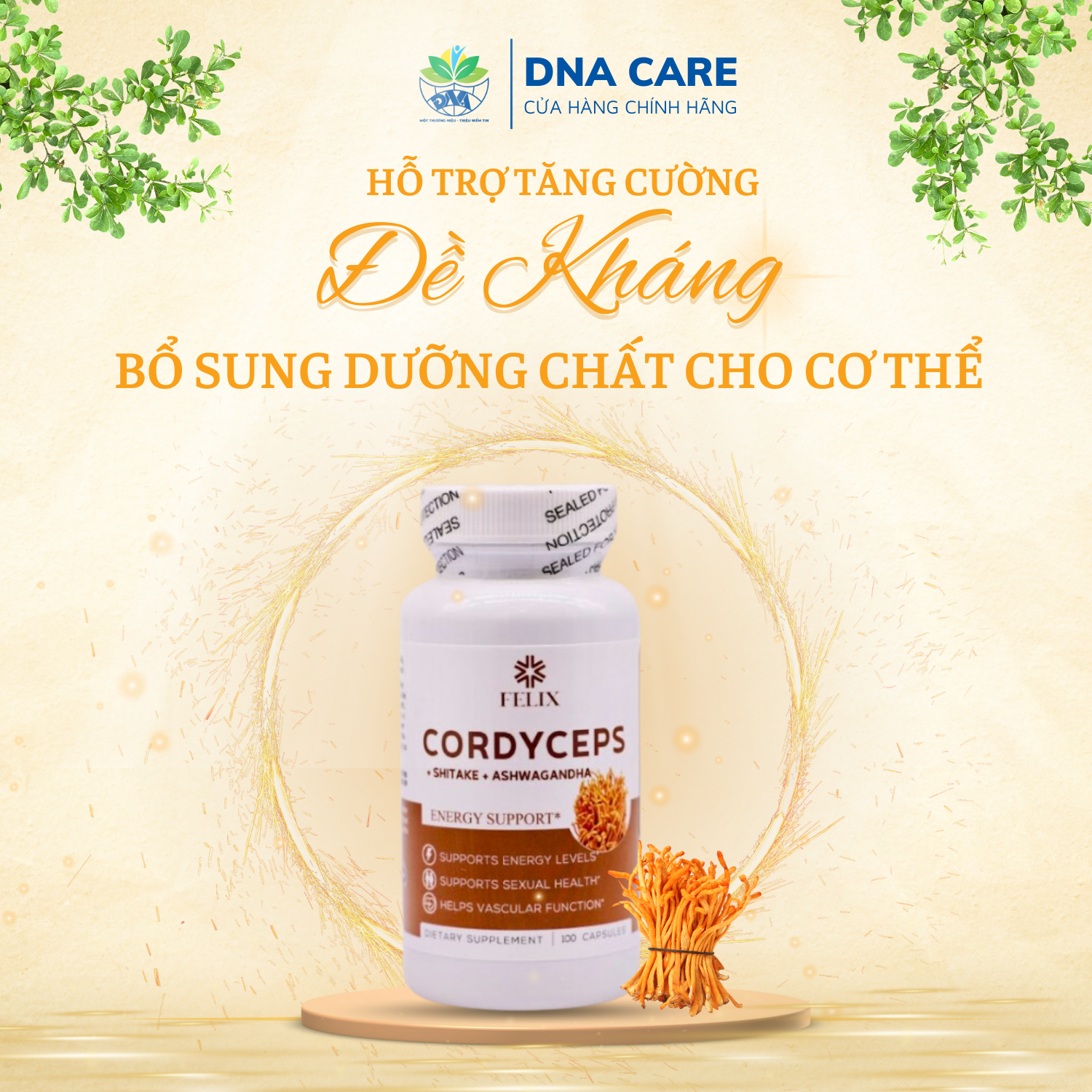 Viên nang đông trùng hạ thảo Cordyceps Mỹ Felix hộp 30/100 viên