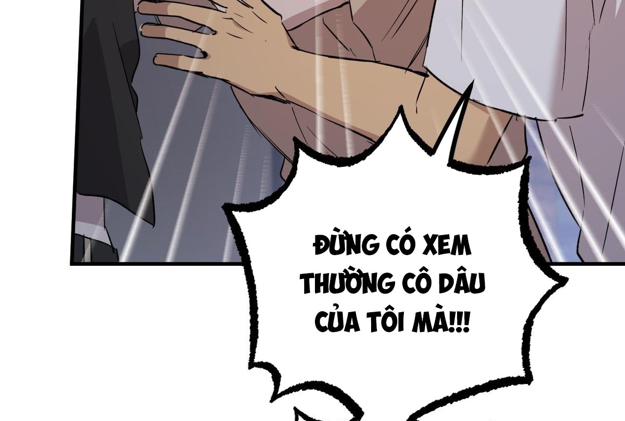 những chú thỏ của hapypy chapter 58 145