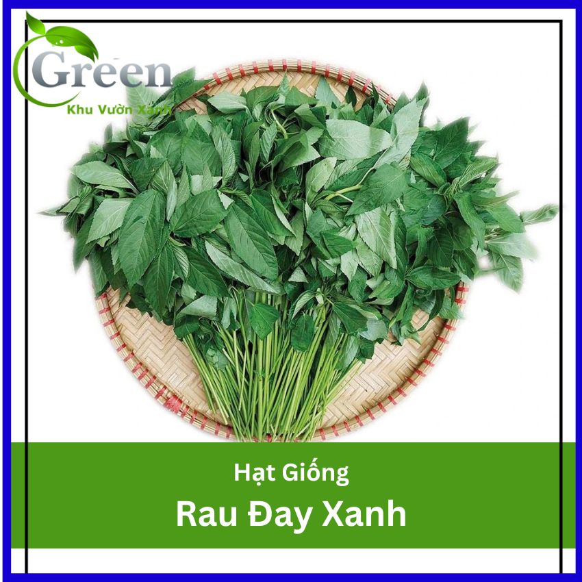 Hạt Giống Rau Đay Xanh Cao Sản