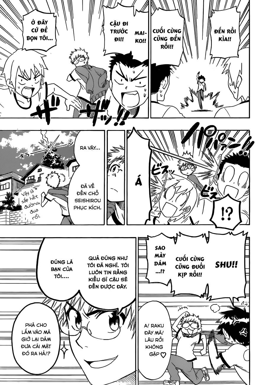 nisekoi - tình yêu giả tạo chapter 73 14