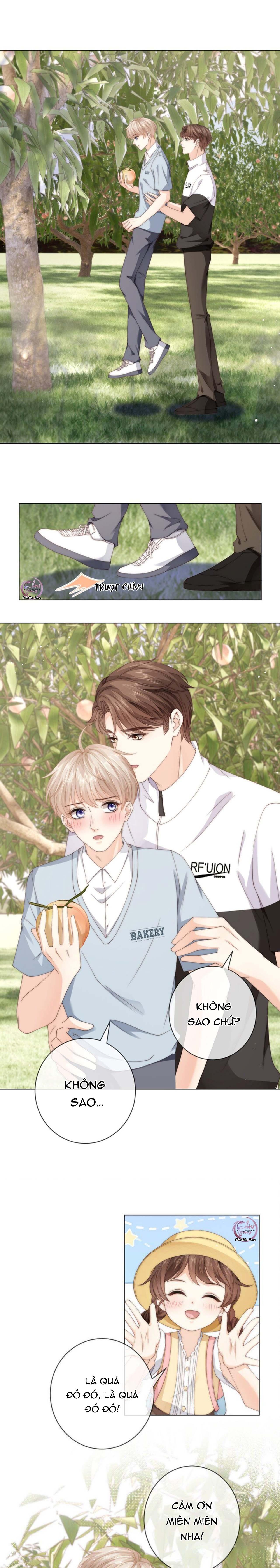 đảo thanh mai chapter 49 4