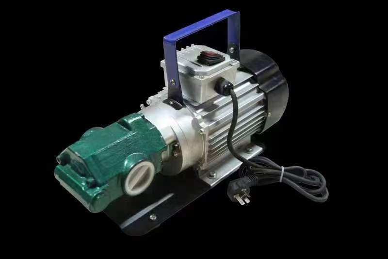 Máy Bơm Bánh Răng Suoli WCB – 24V/600W, Bơm Dầu Nhớt