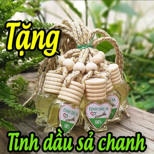 Combo 1Kg Giảo Cổ Lam Sấy Khô Shop Thảo Dược - Hỗ Trợ Giảm Cholesterol Toàn Phần, Mỡ Máu - Tặng 1 Chai Tinh Dầu Sả Chanh 8ml