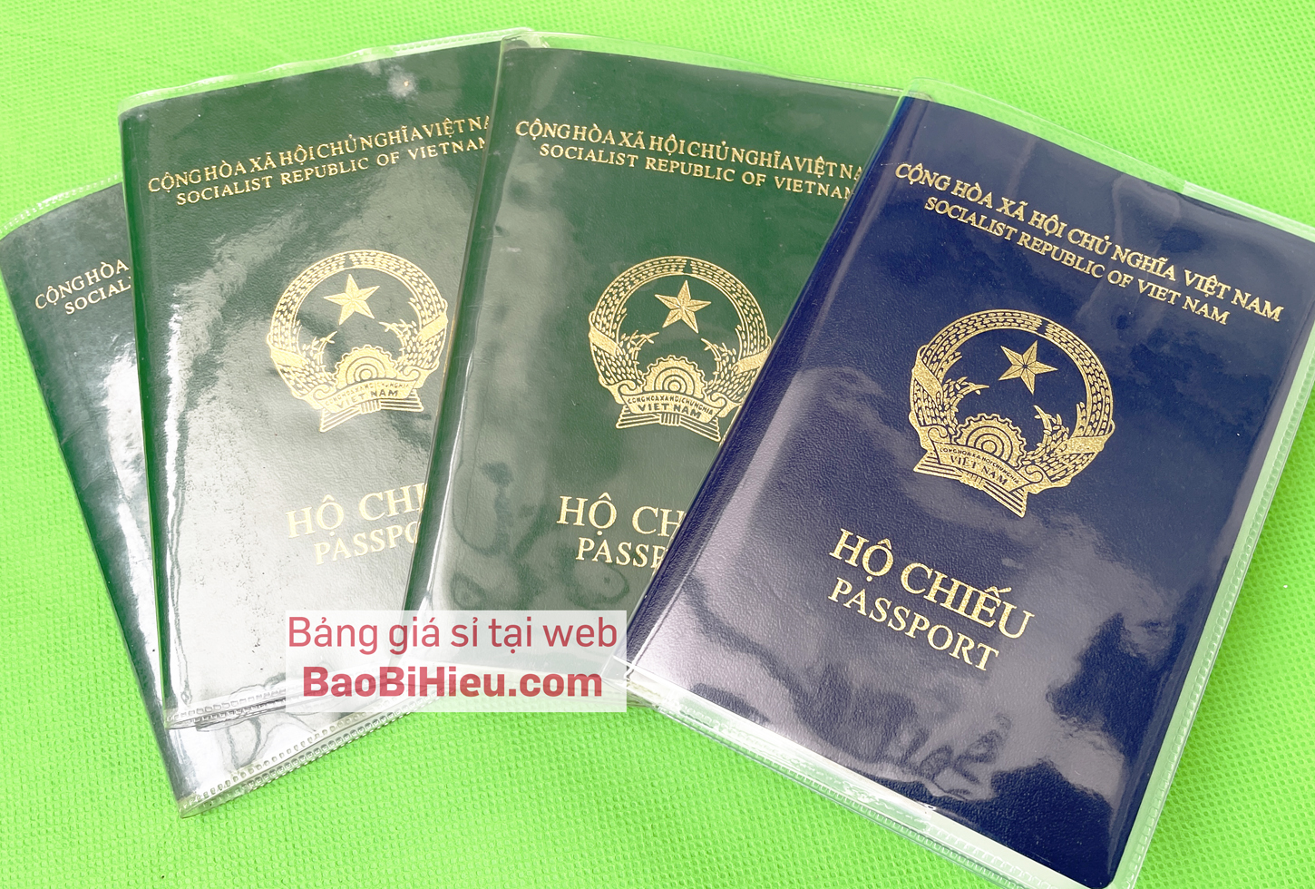 Bìa vỏ bọc bảo vệ hộ chiếu, passport PVC trong suốt.