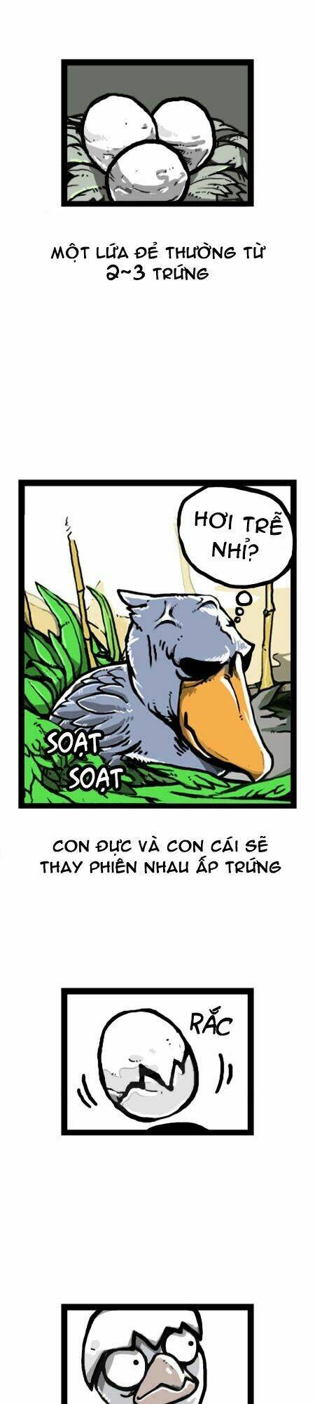 earth, human, and animal chapter 14 19