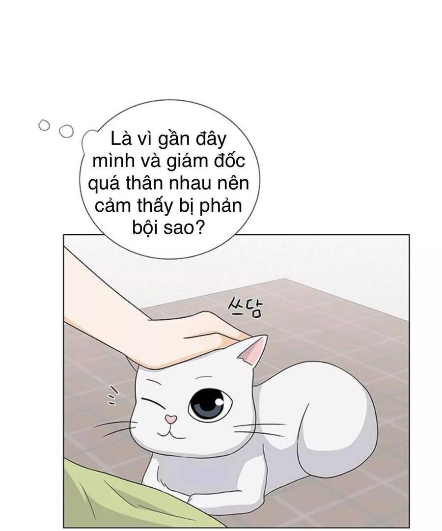 idol và sếp, em yêu ai? chapter 76 8