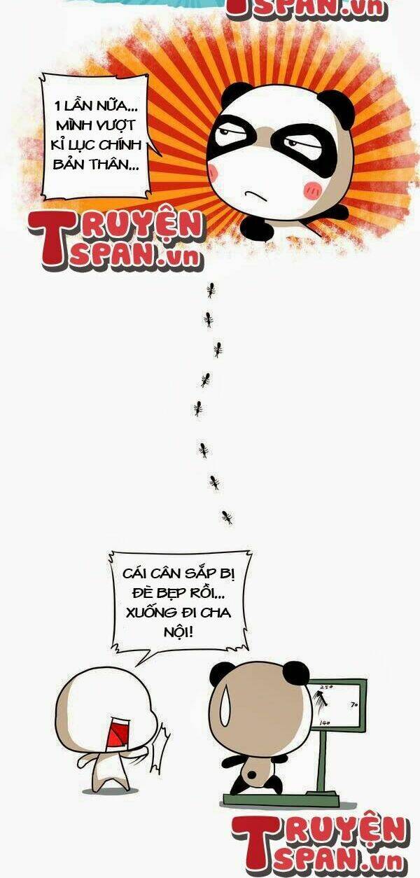 gấu ngốc và những người bạn chapter 9 11