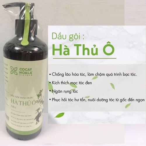 Dầu Gội Thảo Dược Hà Thủ Ô 800ml Giúp Làm Chậm Quá Trình Bạc Tóc Giúp Tóc Chắc Khỏe Hàng Việt Nam