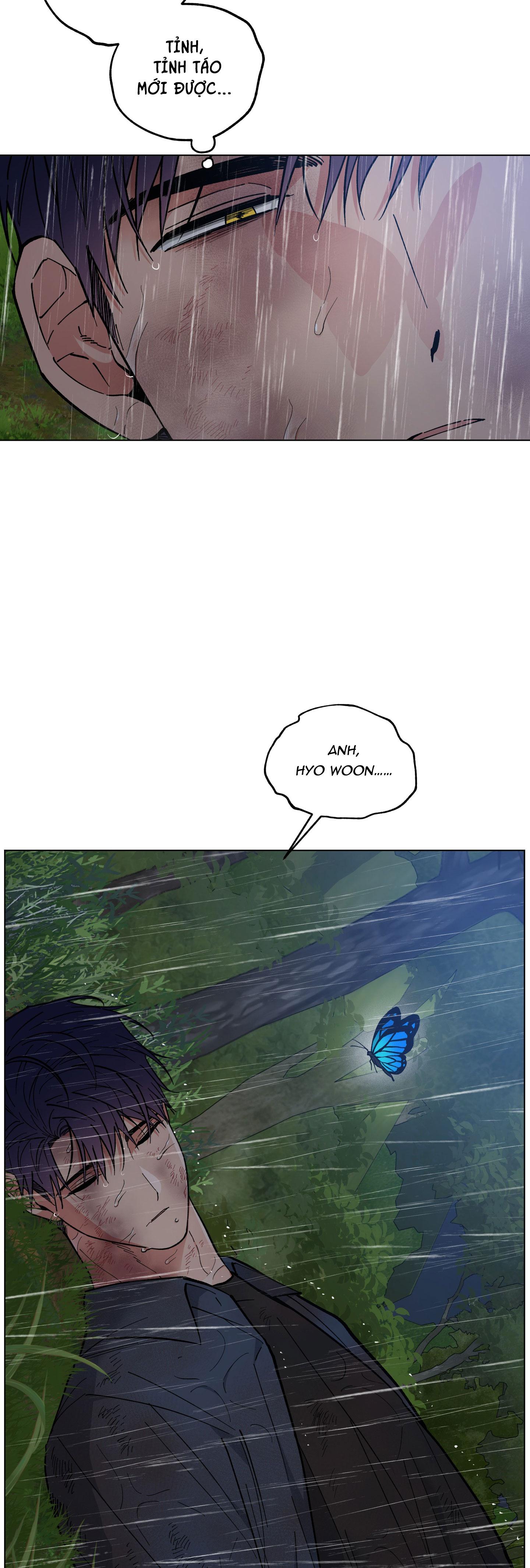 bình minh, mây và sông chapter 32 43