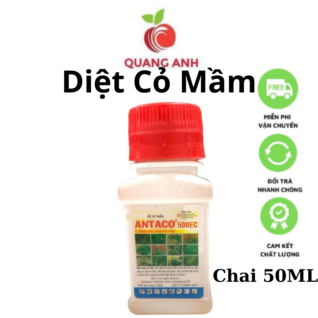 Trừ Cỏ Tiền Nảy Mầm ANTACO 500EC - Diệt Cỏ Mầu Hiệu Quả - Chai 50ML