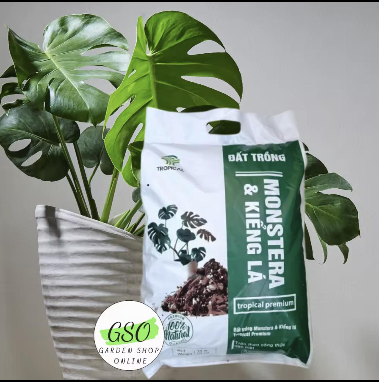 Giá thể trồng MONSTERA & KIỂNG LÁ giúp cây hấp thụ dinh dưỡng tốt hơn túi 3 ký.