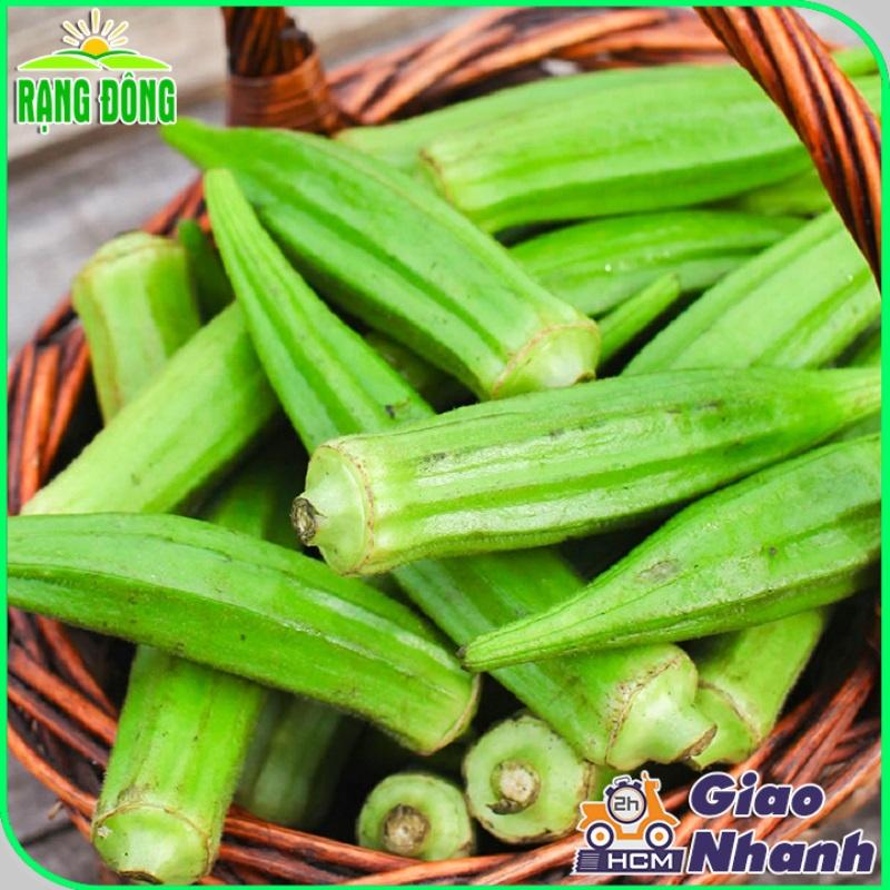 Hạt giống Đậu Bắp Cao Sản, Trồng Quanh Năm, Dễ Chăm Sóc (gói 20 gram) - Hạt giống Rạng Đông