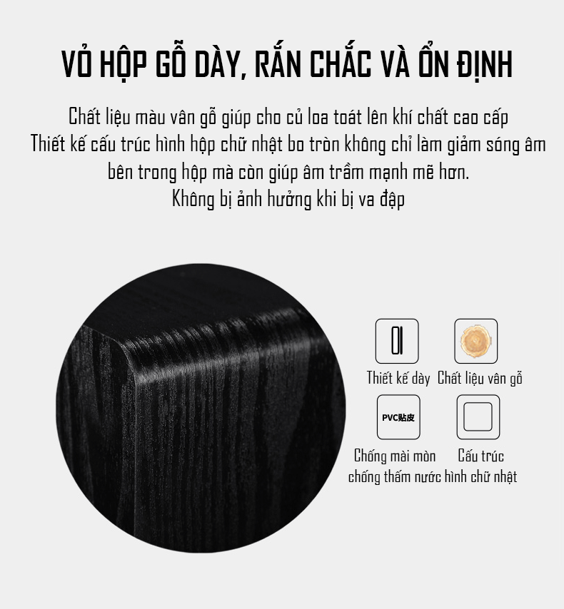 ROGTZ Loa Subwoofer Điện 100W Siêu Trầm SU650D Cao Cấp - Hàng Nhập Khẩu