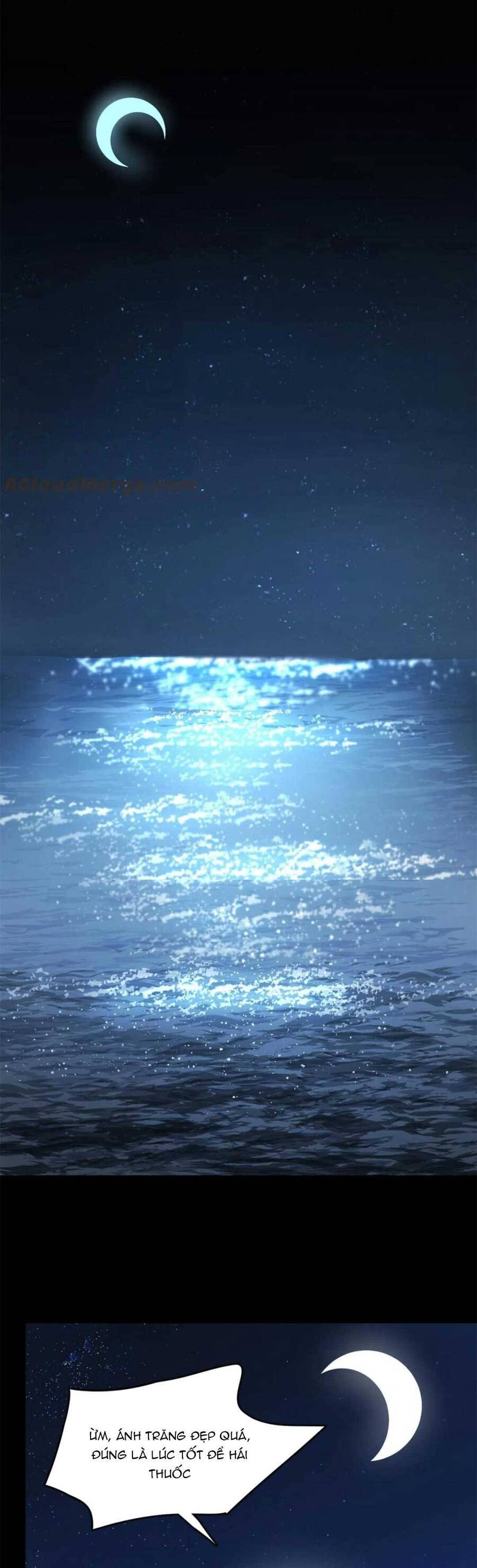 độc bộ thiên hạ: đặc công thần y chapter 440 6