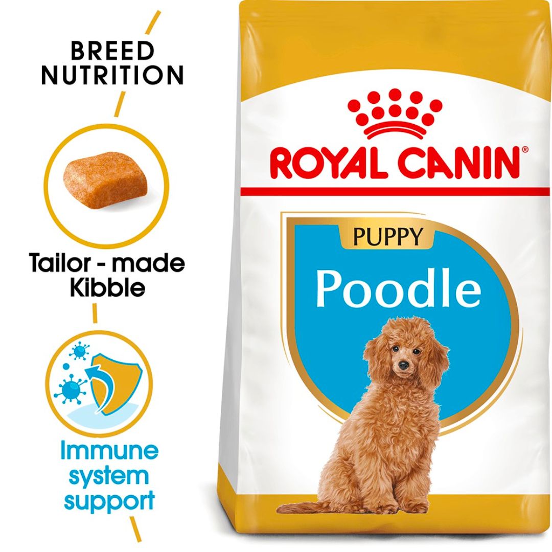 Thức Ăn Cho Chó Royal Canin Poodle Puppy - Chó Con