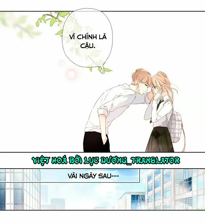 Tình yêu là màu hoa anh thảo chapter 25.2 7