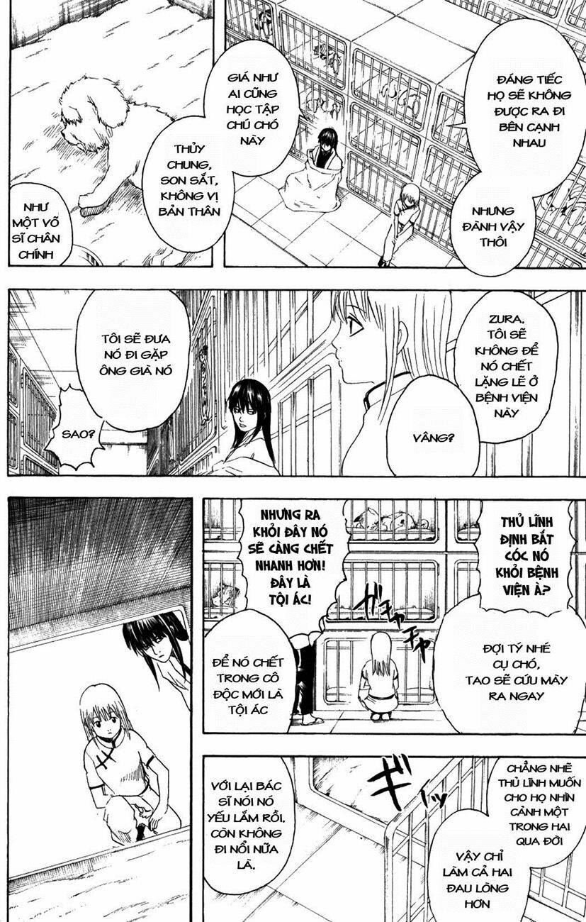 gintama - linh hồn bạc chapter 207 12