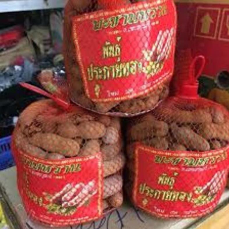 Cây giống me thái ngọt cây giống chuẩn cho năng suất cao dễ chăm sóc