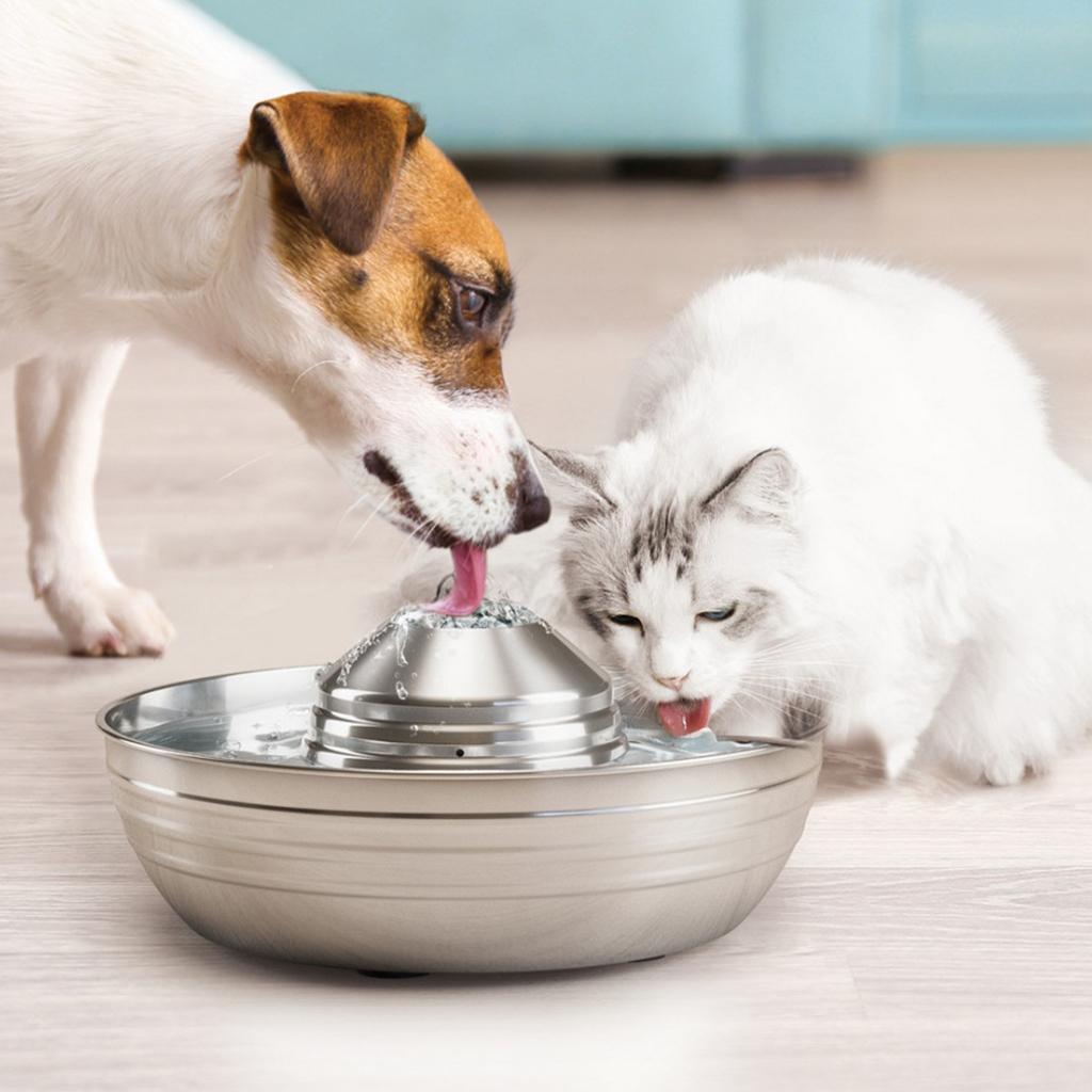 67oz Fountain Electric Water Dispenser cat and dog Automatic Drinking