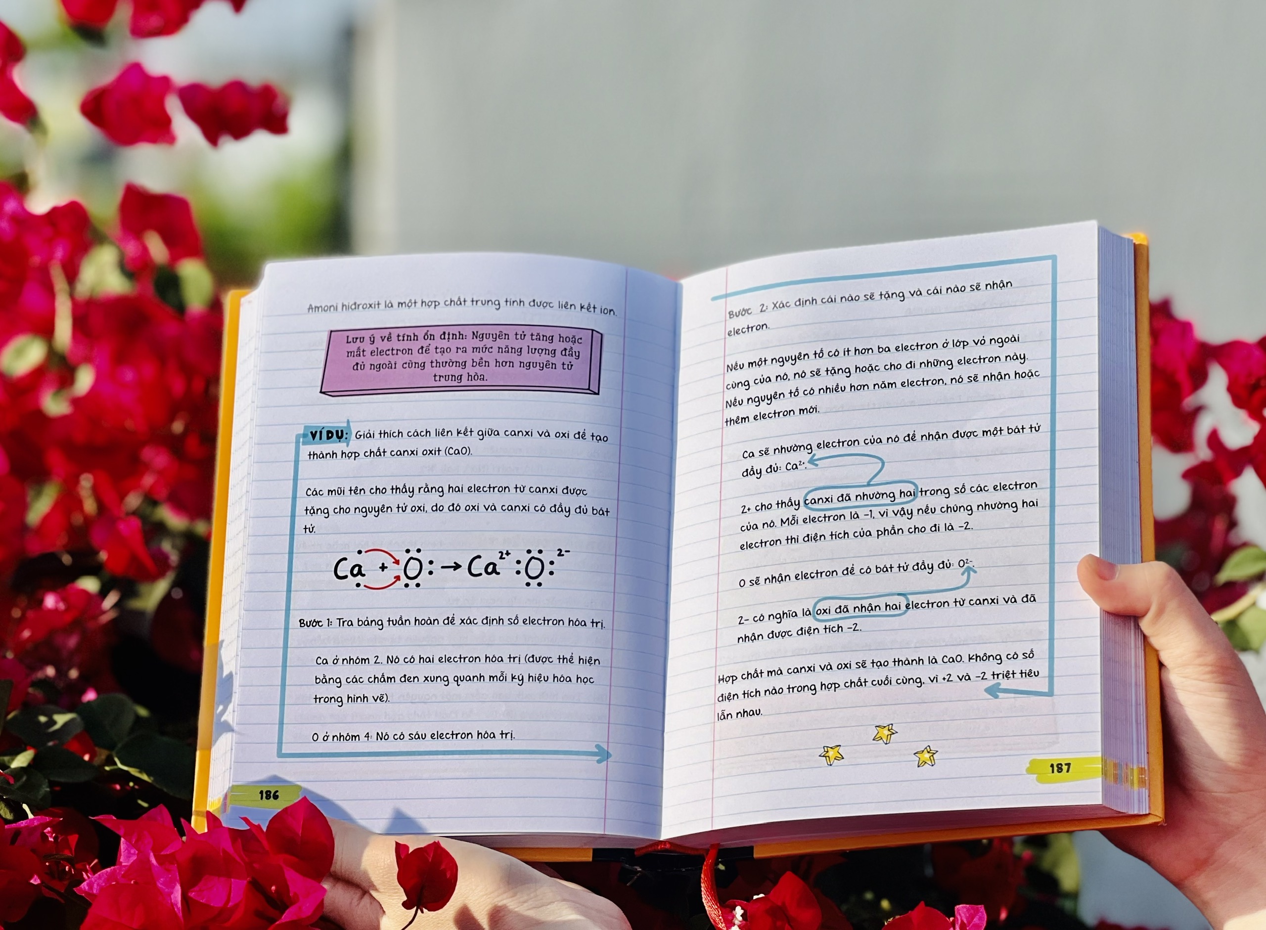 Combo Sách Sổ Tay Khoa Học, Sổ Tay Hóa Học - Kiến Thức Tổng Hợp Hóa Học và Khoa Học - Á Châu Books