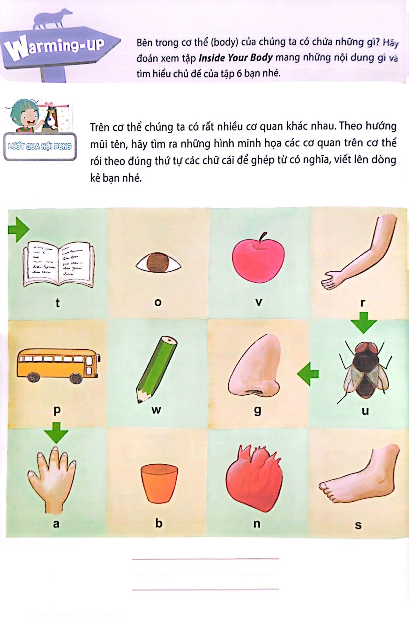 Sách All Story - Inside Your Body - Bên Trong Cơ Thể Bạn - Trình Độ 2 (Tập 6)