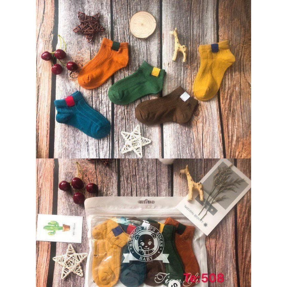 Combo 5 đôi tất gân cotton sắc màu cho bé