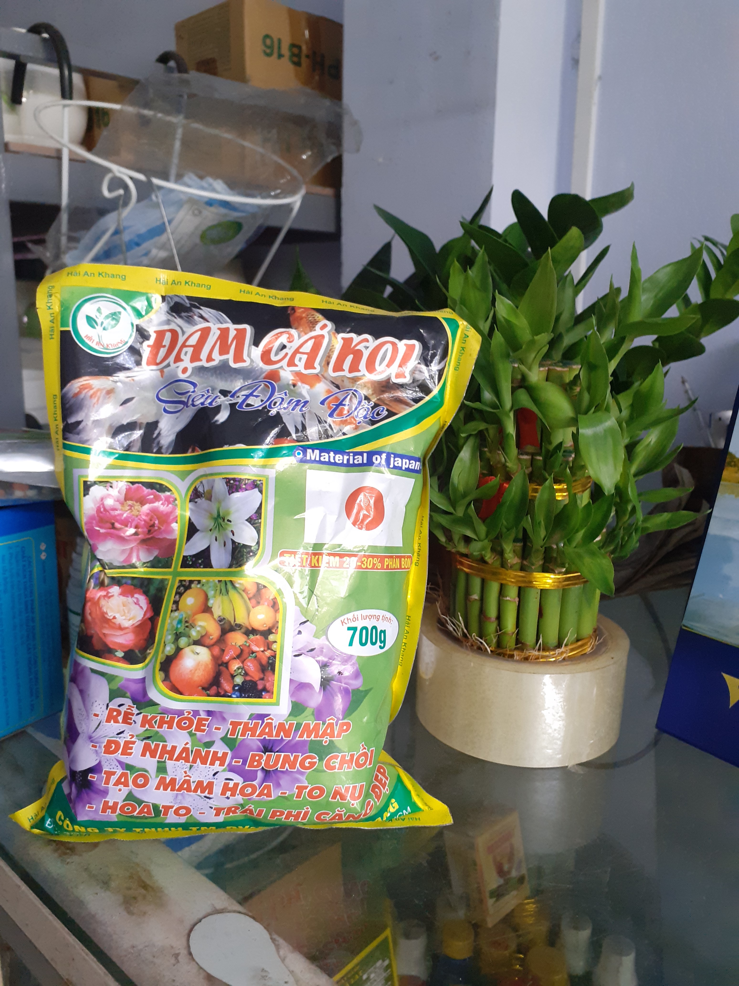 Đạm cá koi